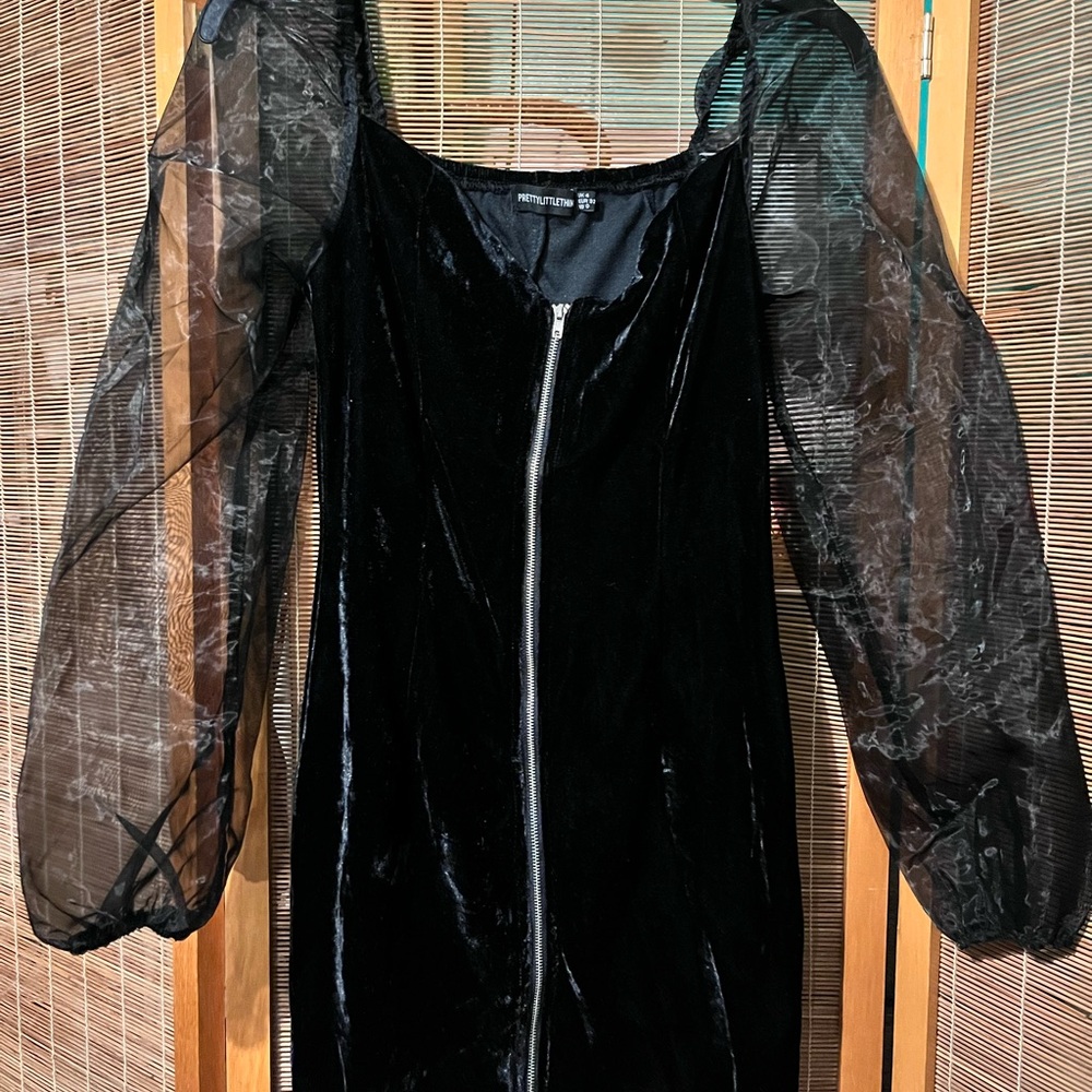 Black Velvet Dress with Sheer Sleeves